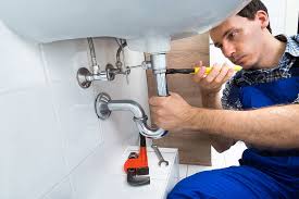 Best Commercial Plumbing Services  in Shorewood Forest, IN